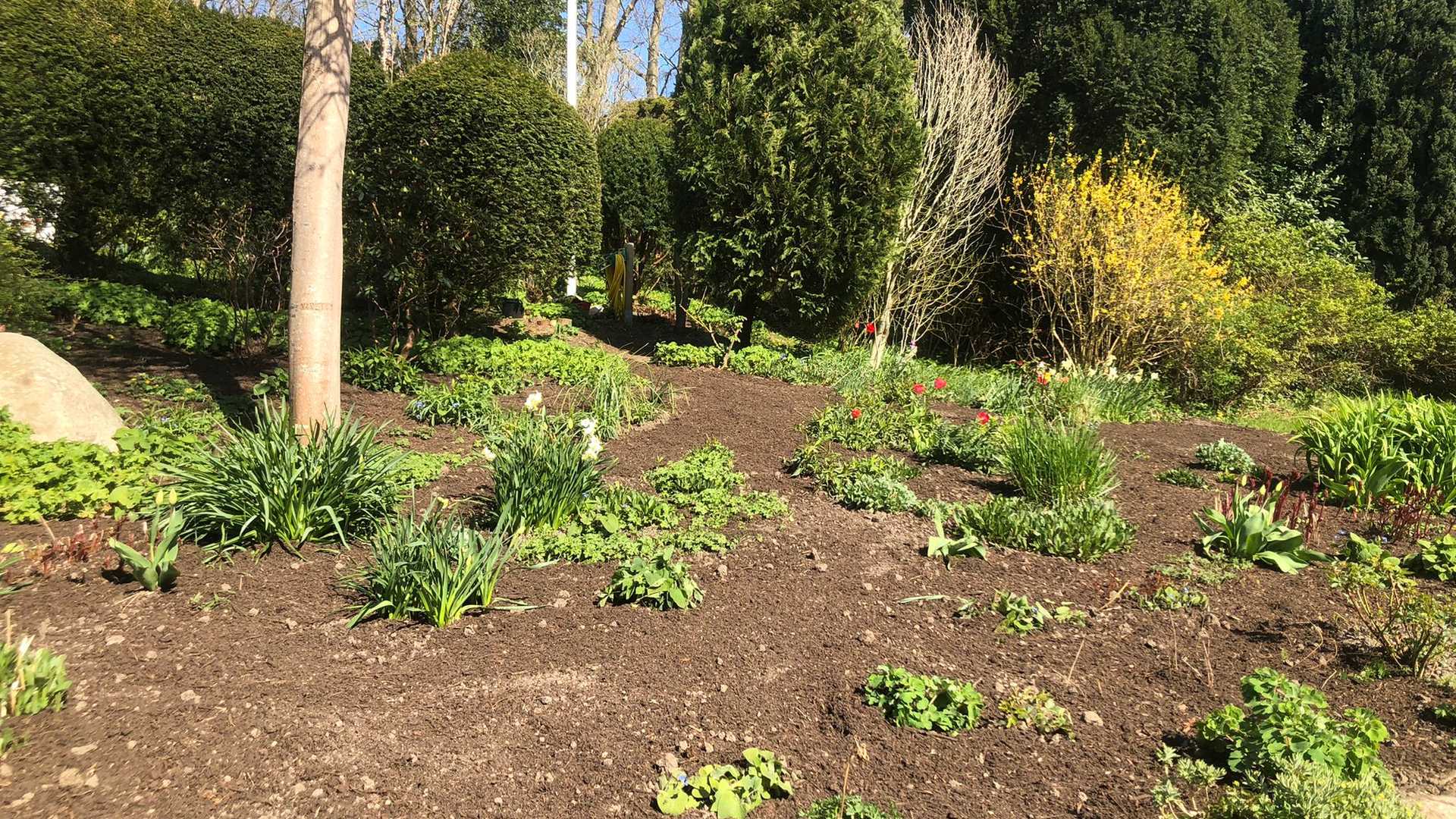 Gepflegter Garten mit Frühlingsblüten – A & F Galabau Flensburg