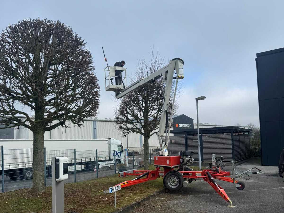 Baumschnitt mit Hebebühne – A & F Garten- und Landschaftsbau